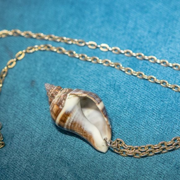 NATURAL Conch Shell Necklace with Chain Gold Tone - Picture 4 of 8
